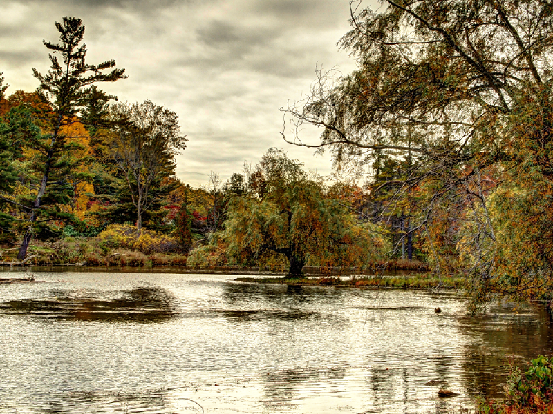 Bedford Mills 02.png