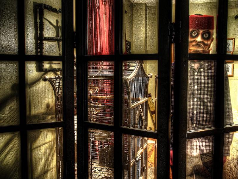 Bosco Feeding Birds.jpg