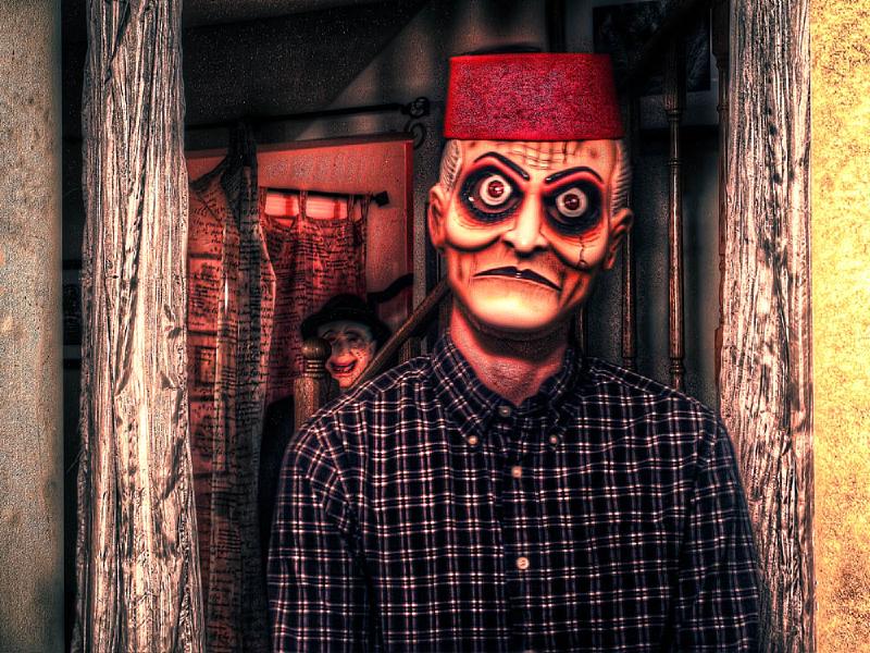 Bosco Photobombed.jpg